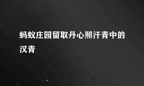 蚂蚁庄园留取丹心照汗青中的汉青