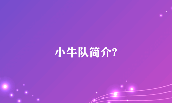 小牛队简介?