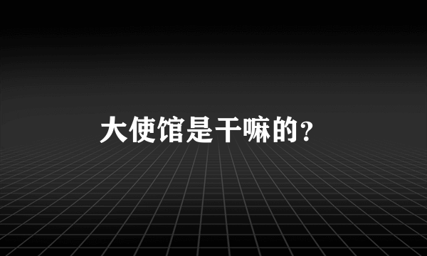 大使馆是干嘛的？