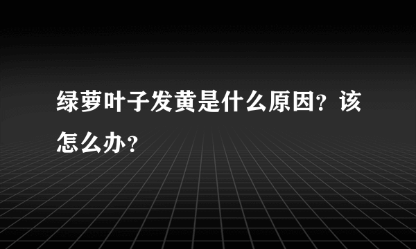 绿萝叶子发黄是什么原因？该怎么办？