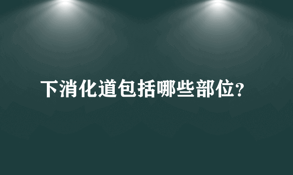 下消化道包括哪些部位？