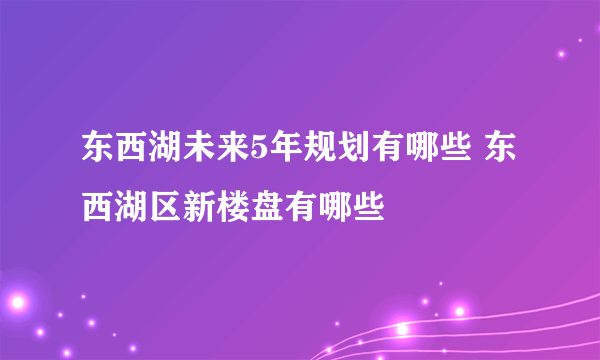 东西湖未来5年规划有哪些 东西湖区新楼盘有哪些