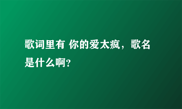 歌词里有 你的爱太疯，歌名是什么啊？