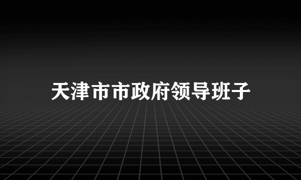 天津市市政府领导班子