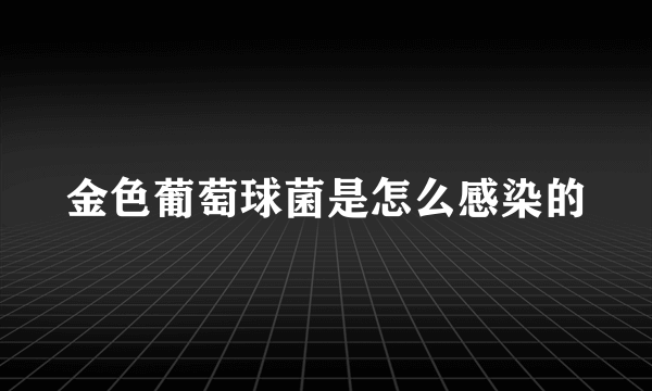 金色葡萄球菌是怎么感染的