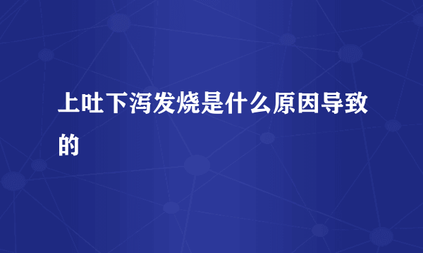 上吐下泻发烧是什么原因导致的