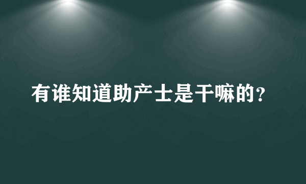 有谁知道助产士是干嘛的？