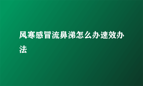 风寒感冒流鼻涕怎么办速效办法