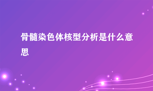 骨髓染色体核型分析是什么意思