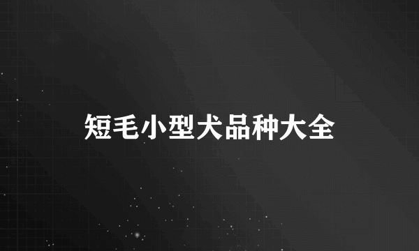 短毛小型犬品种大全