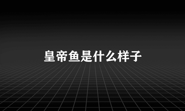 皇帝鱼是什么样子