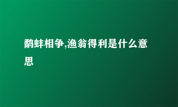 鹬蚌相争,渔翁得利是什么意思