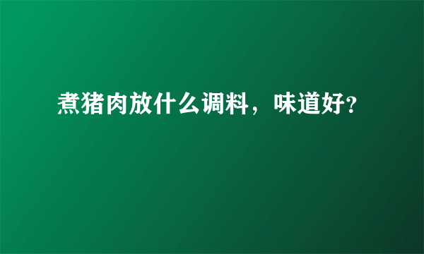 煮猪肉放什么调料，味道好？