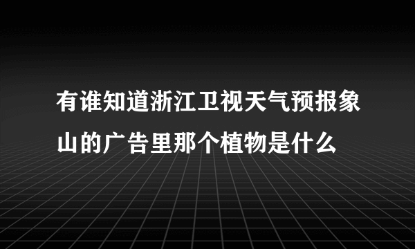 有谁知道浙江卫视天气预报象山的广告里那个植物是什么