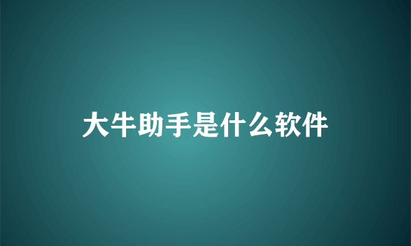 大牛助手是什么软件