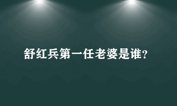 舒红兵第一任老婆是谁？