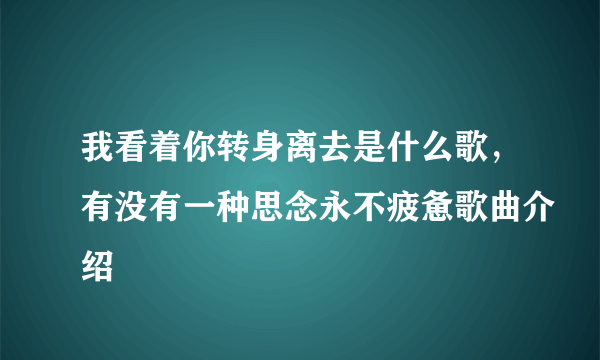 我看着你转身离去是什么歌，有没有一种思念永不疲惫歌曲介绍