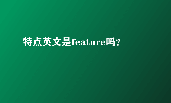 特点英文是feature吗？