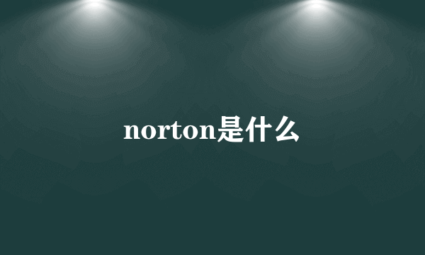 norton是什么