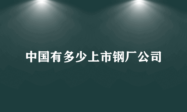 中国有多少上市钢厂公司