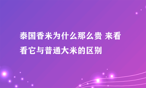 泰国香米为什么那么贵 来看看它与普通大米的区别