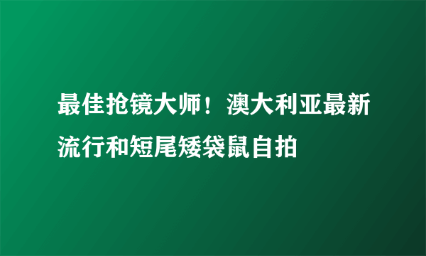 最佳抢镜大师！澳大利亚最新流行和短尾矮袋鼠自拍