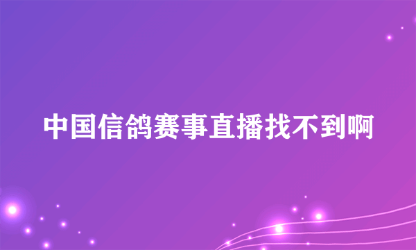 中国信鸽赛事直播找不到啊