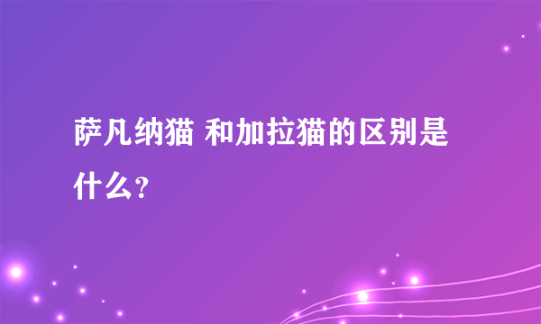 萨凡纳猫 和加拉猫的区别是什么？