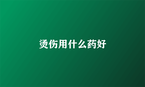 烫伤用什么药好