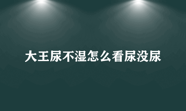 大王尿不湿怎么看尿没尿