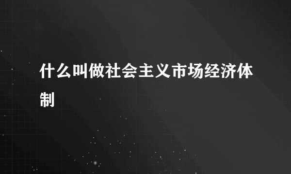 什么叫做社会主义市场经济体制