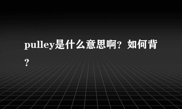 pulley是什么意思啊？如何背?