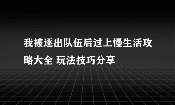 我被逐出队伍后过上慢生活攻略大全 玩法技巧分享