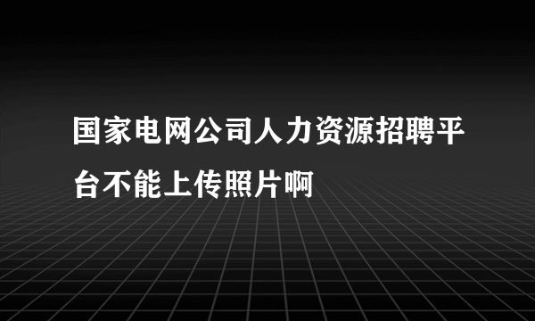 国家电网公司人力资源招聘平台不能上传照片啊