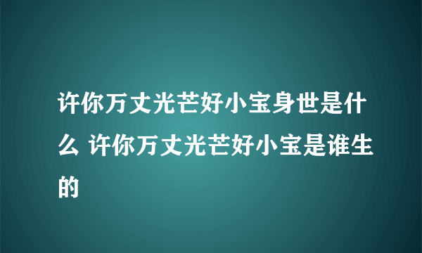 许你万丈光芒好小宝身世是什么 许你万丈光芒好小宝是谁生的